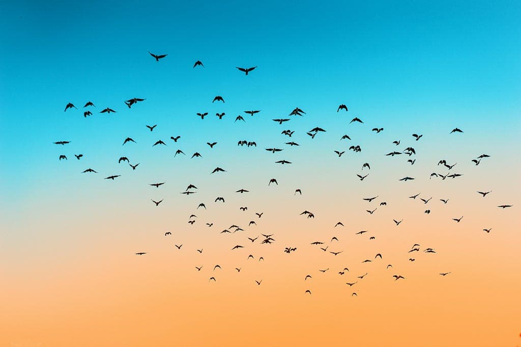 The safest decision is rarely the right one